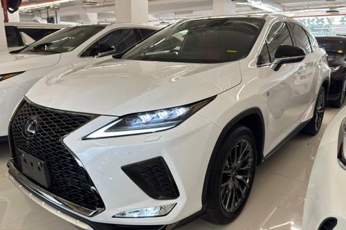 2019 Lexus RX 300 F Sport  lama