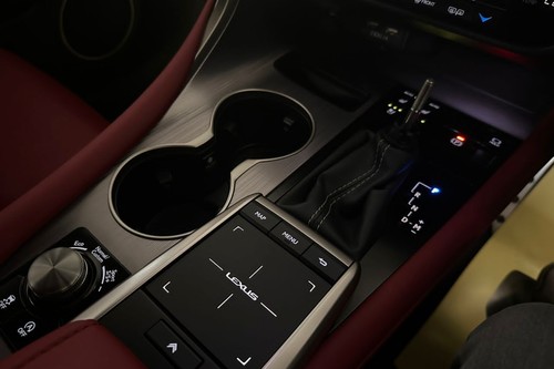 2019 Lexus RX 300 F Sport Terpakai