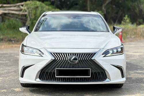 2019 Lexus ES 250 Luxury Terpakai