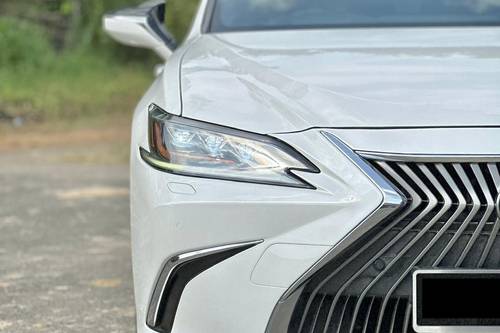 Old 2019 Lexus ES 250 Luxury