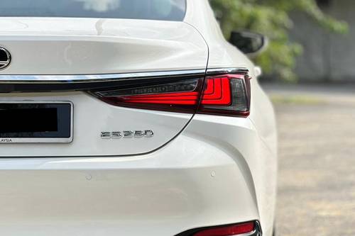 2019 Lexus ES 250 Luxury Terpakai